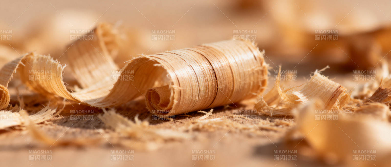 木屑卷曲特写图片