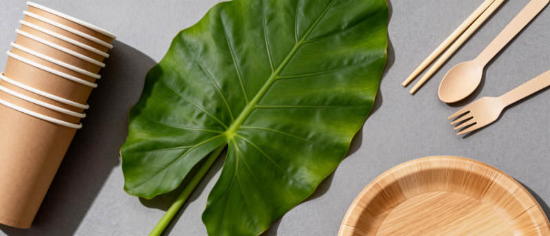 环保餐具与绿叶图片