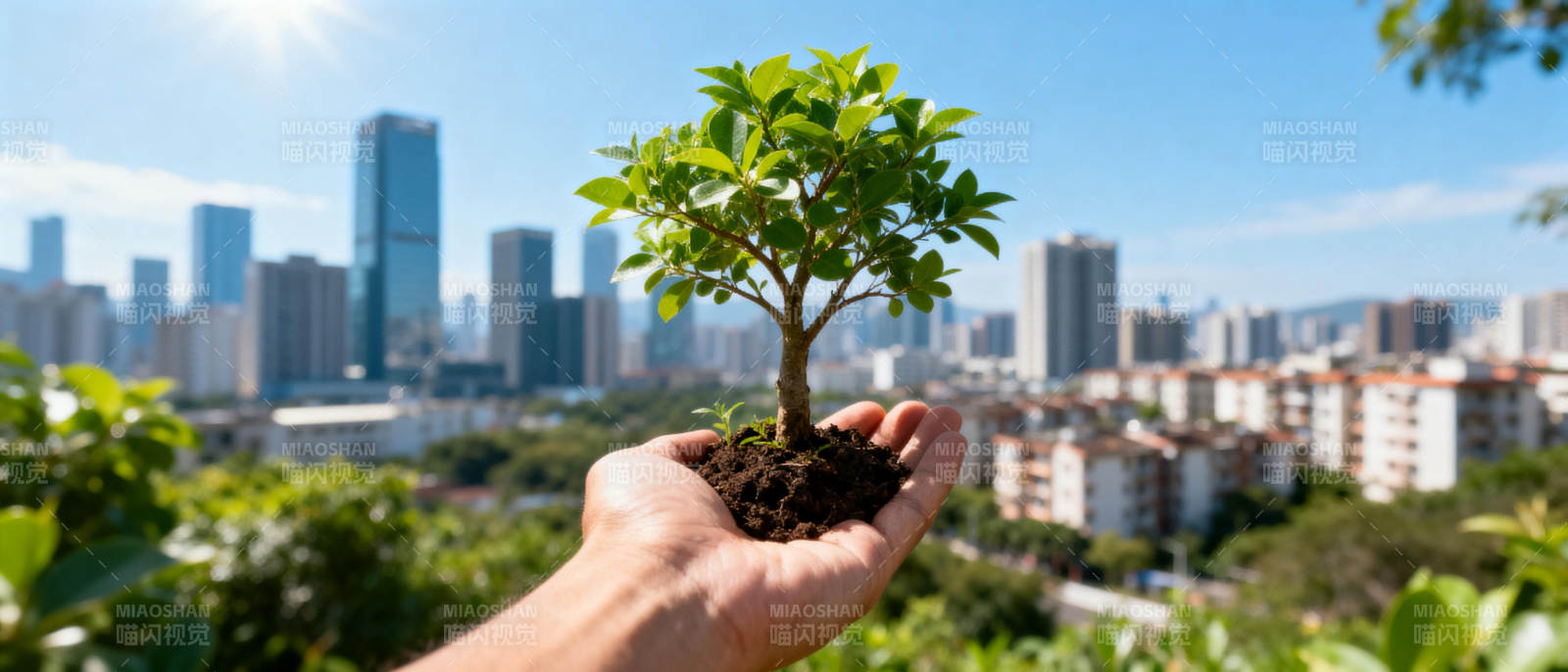 手捧绿树 城市新生图片
