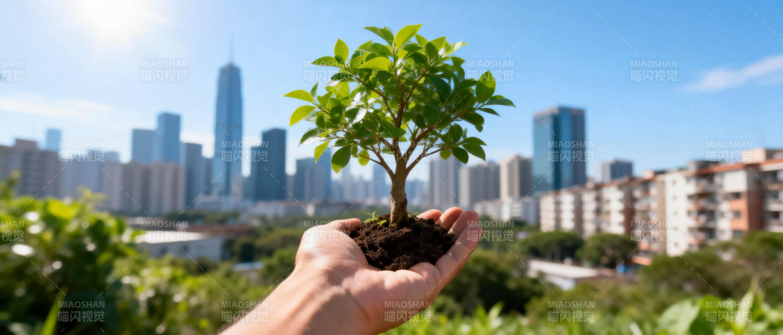 手捧绿植 城市背景图片