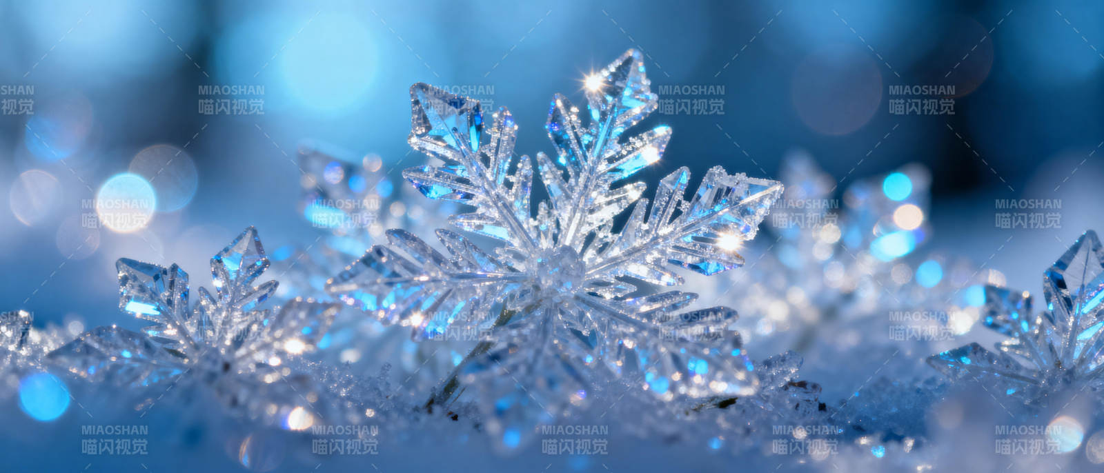 晶莹雪花 冬日之美图片