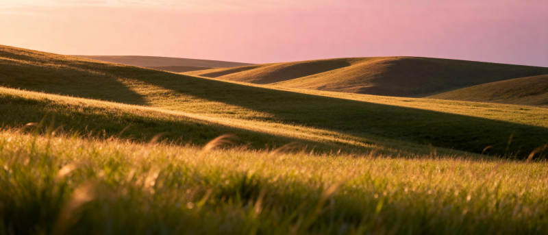 金色草原晨曦图片
