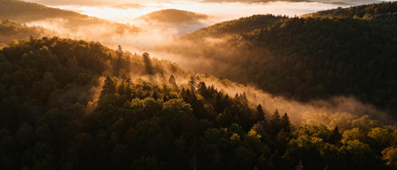 晨雾山林图片