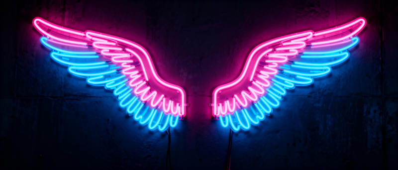 霓虹羽翼图片