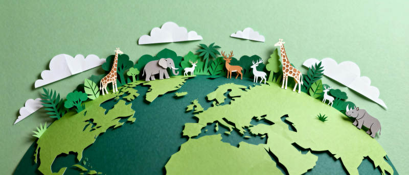 地球上的动物世界图片