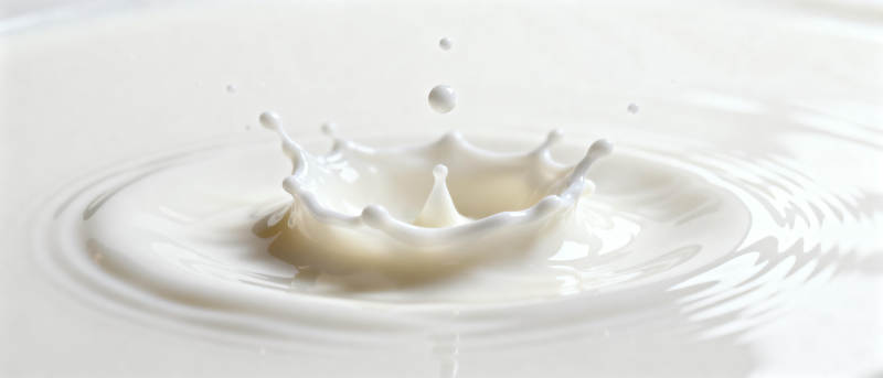 牛奶飞溅瞬间图片