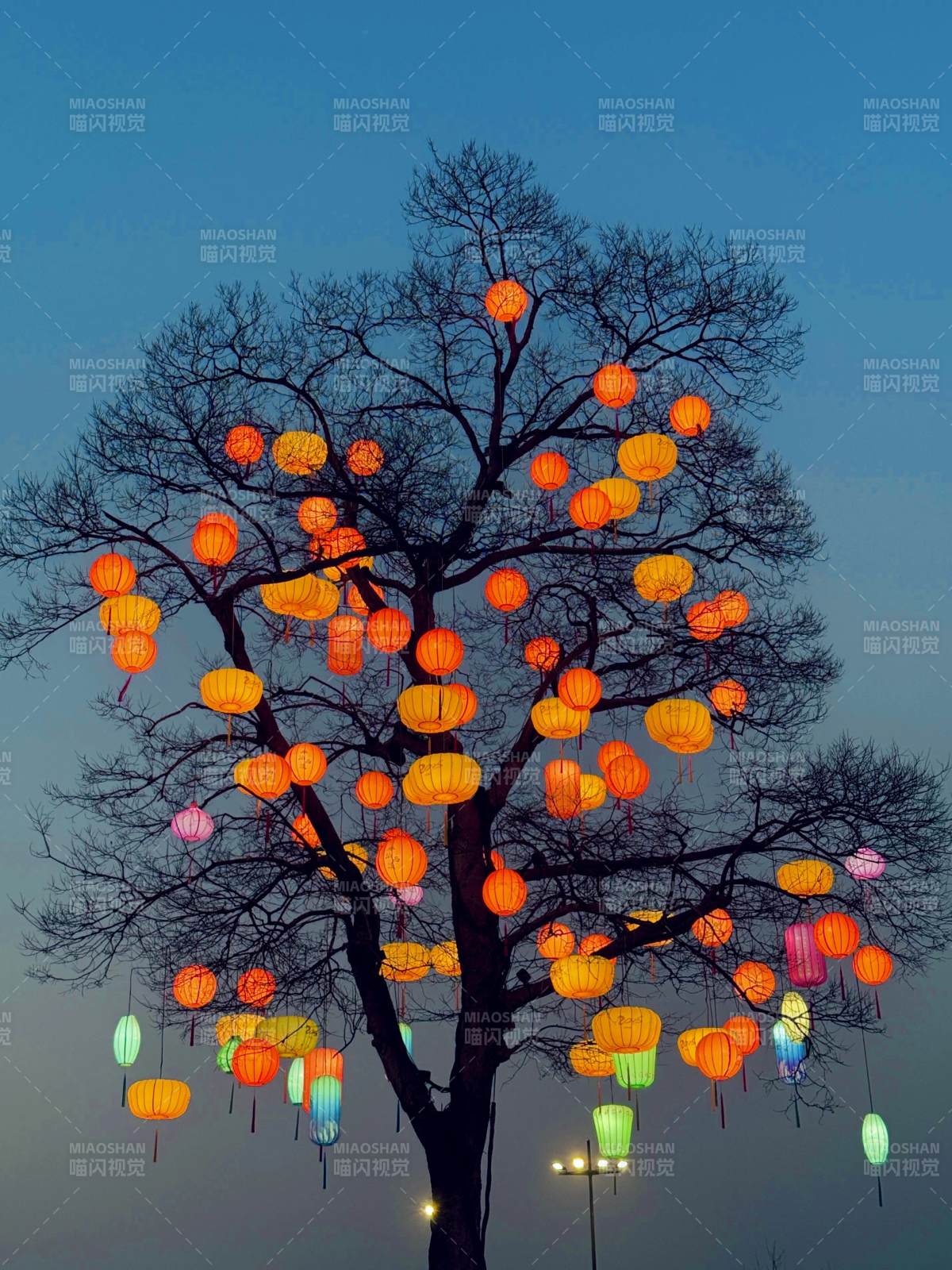 西溪湿地灯会图片