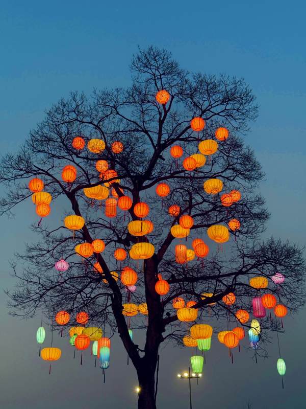 西溪湿地灯会图片