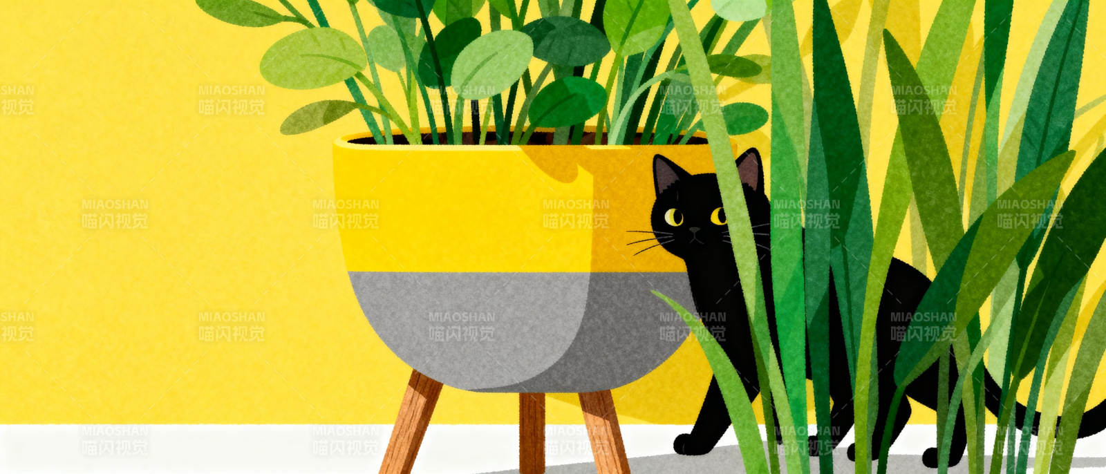 黑猫与绿植相伴图片