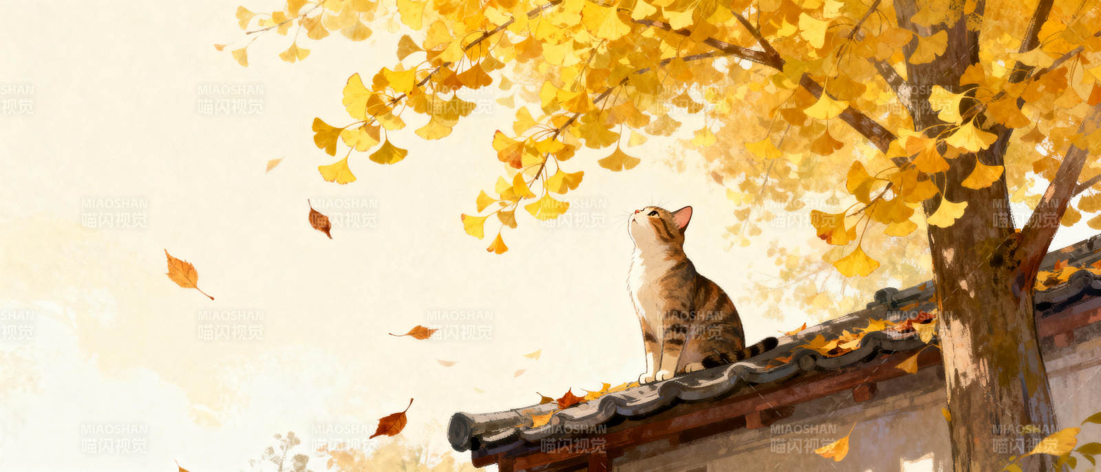 秋日猫影图片