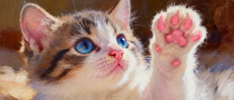 小猫举爪萌态图片