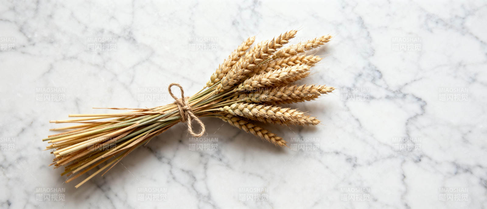 麦穗静物图图片