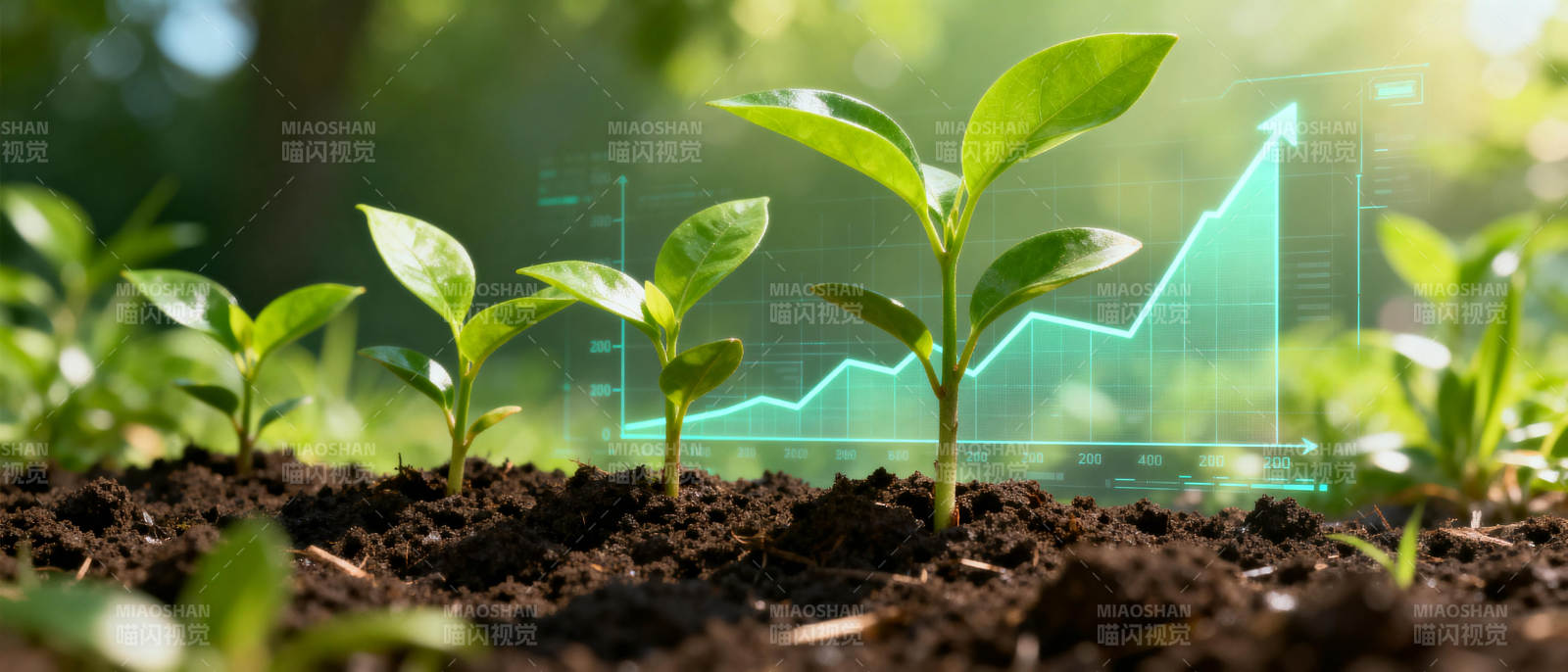 绿色成长曲线图片