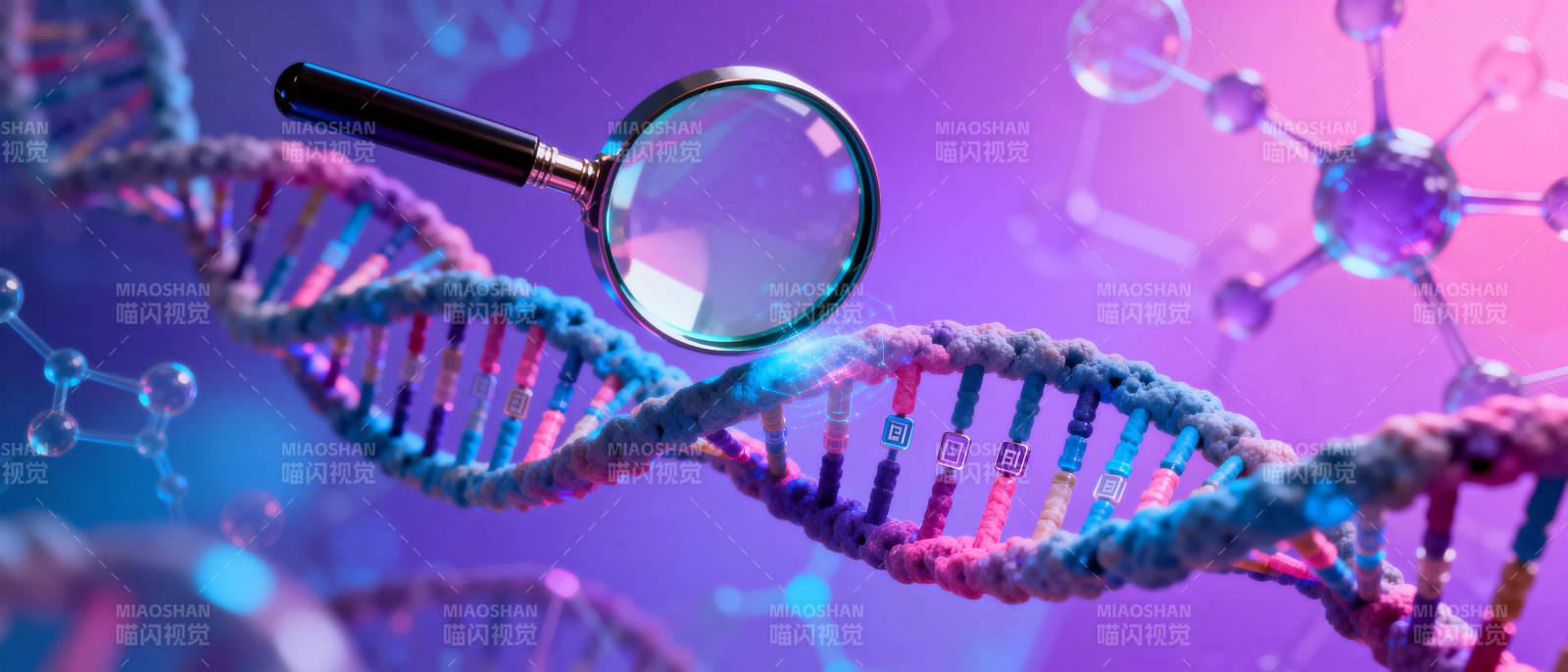 DNA探秘图片