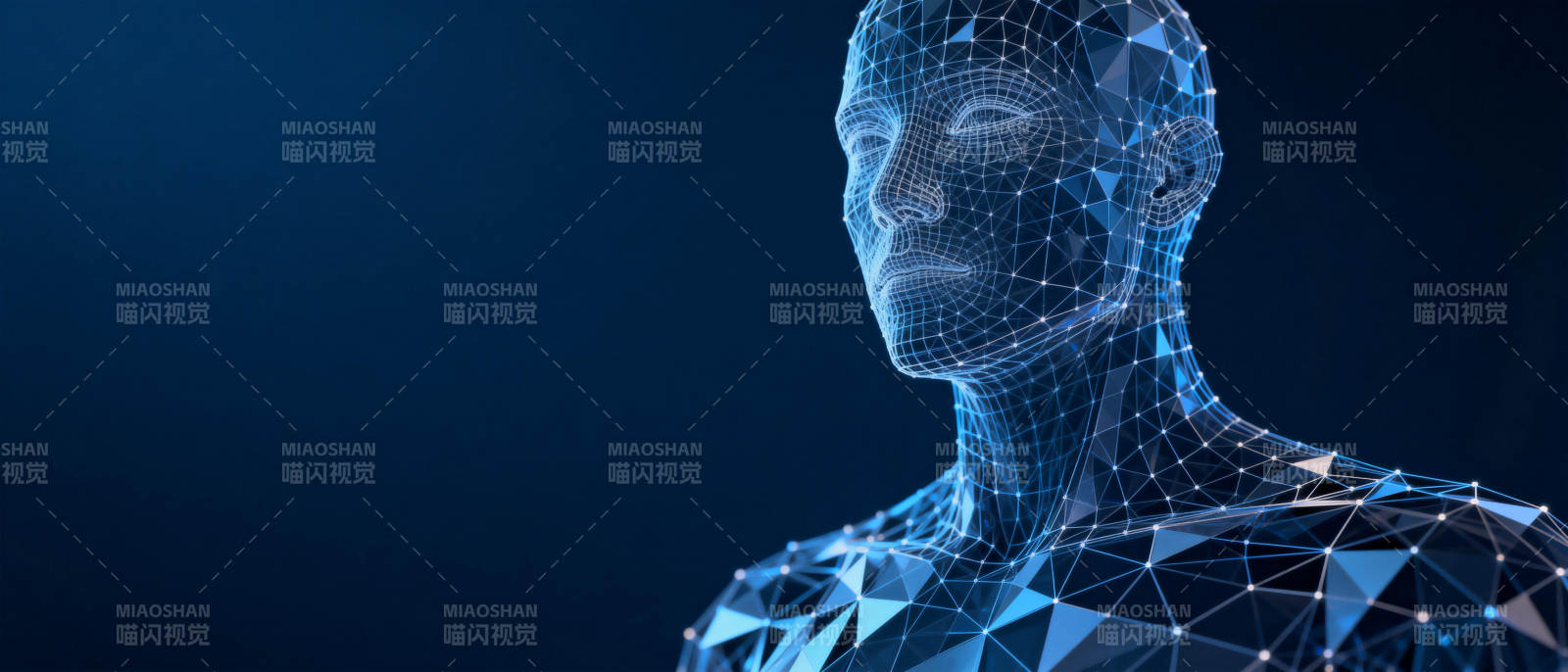 数字人像科技感图片