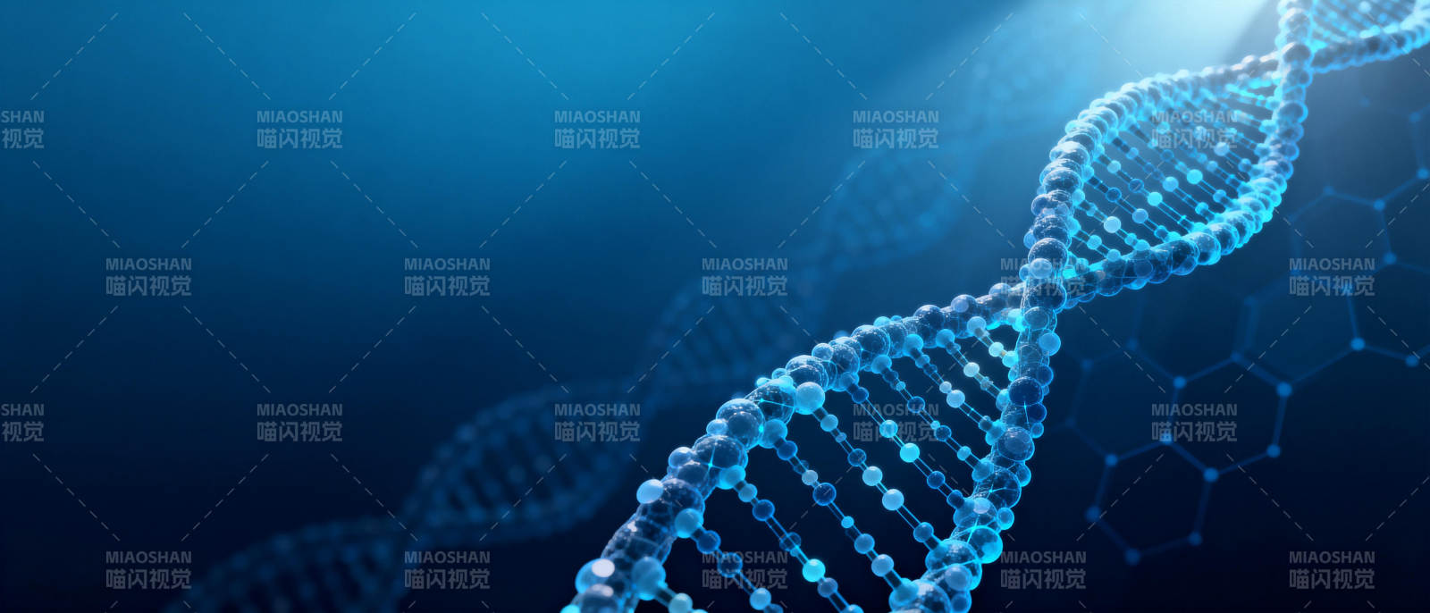 DNA双螺旋结构图片