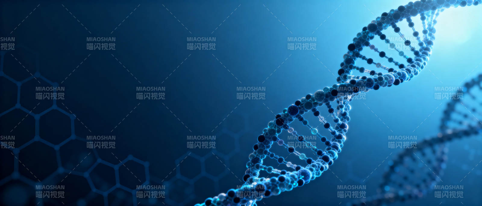 DNA双螺旋结构图片