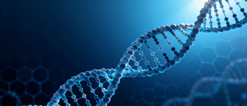 DNA双螺旋结构图片