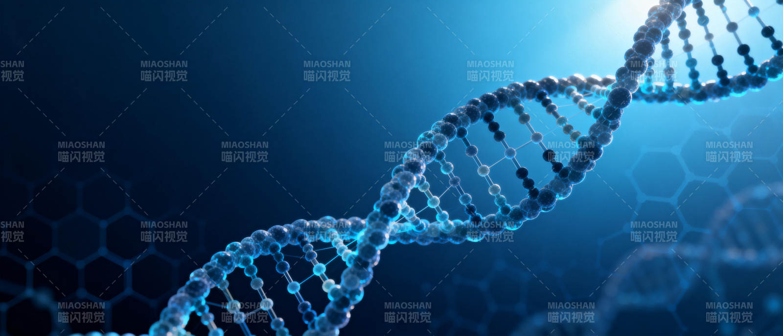 DNA双螺旋结构图片