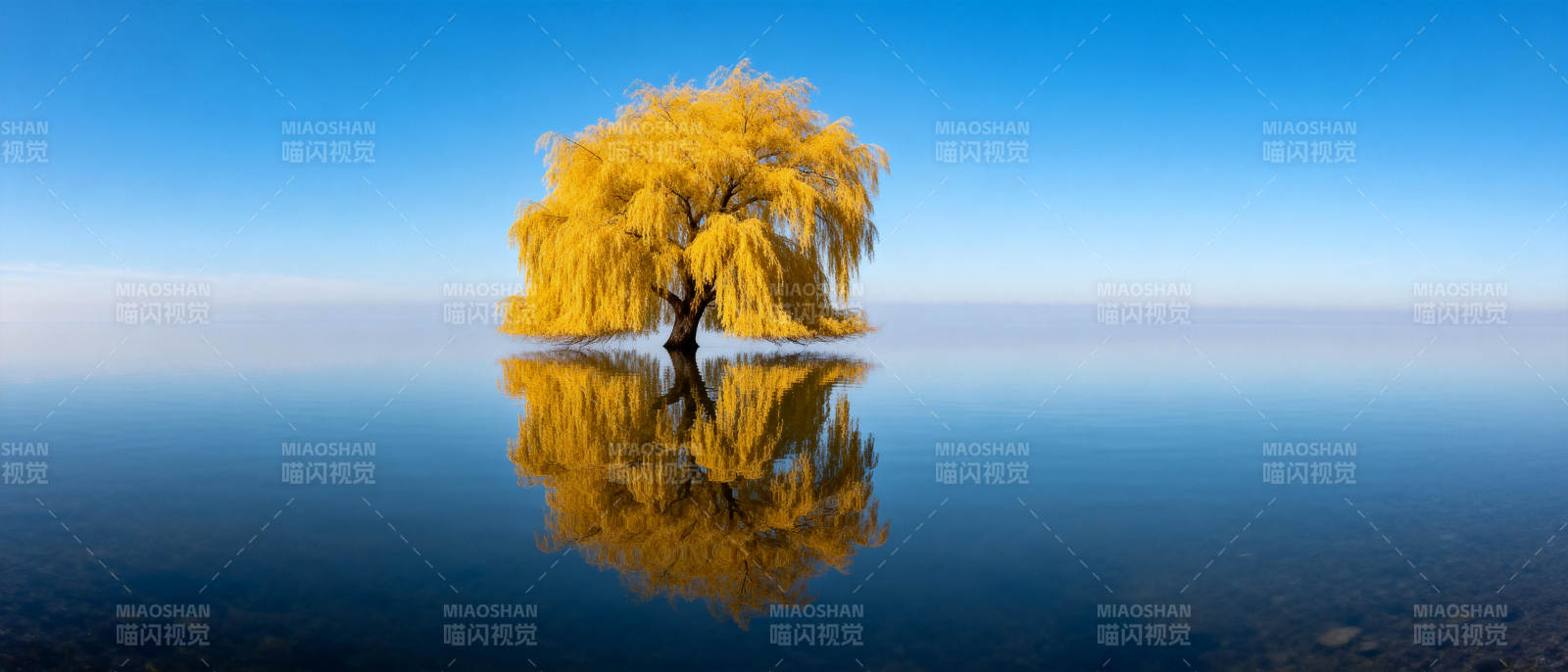 孤树映水 秋色如画图片