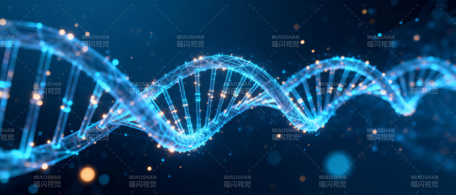 DNA双螺旋结构图片
