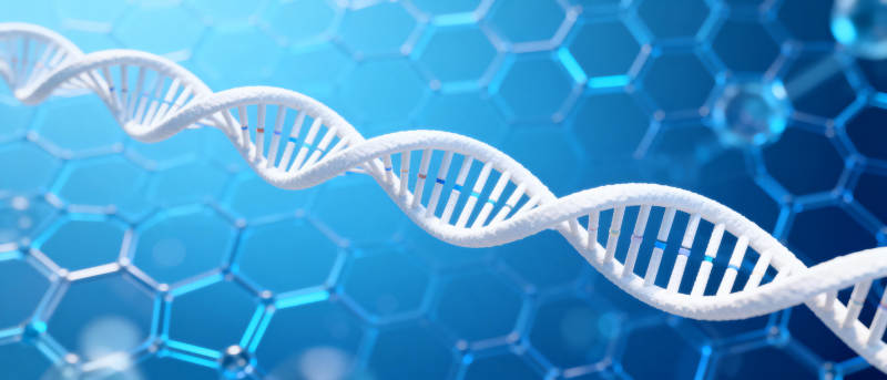 DNA双螺旋结构图片