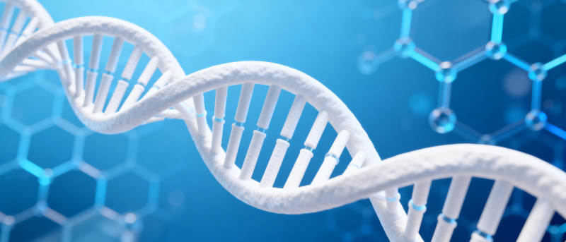 DNA双螺旋结构图片