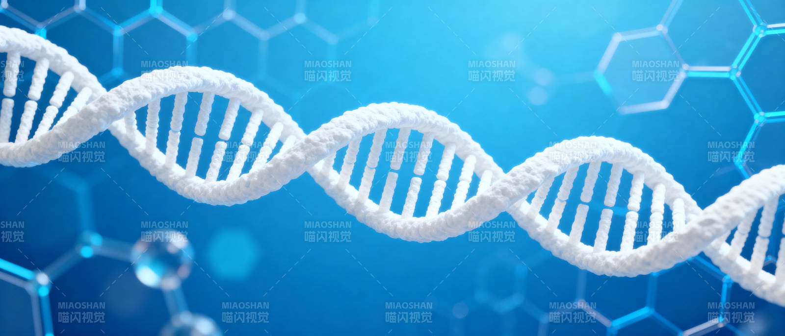 DNA双螺旋结构图片