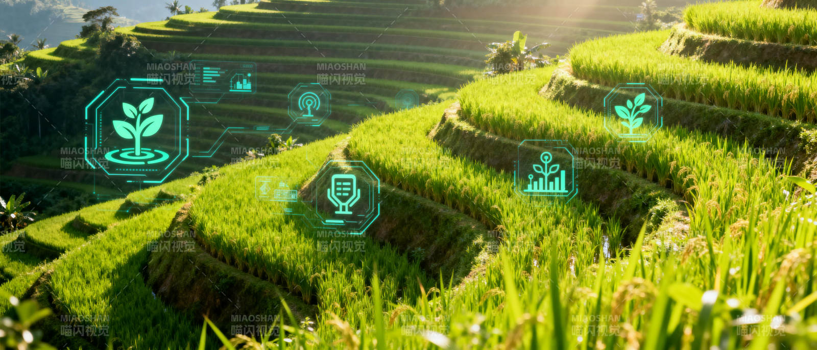 智慧农业新视界图片