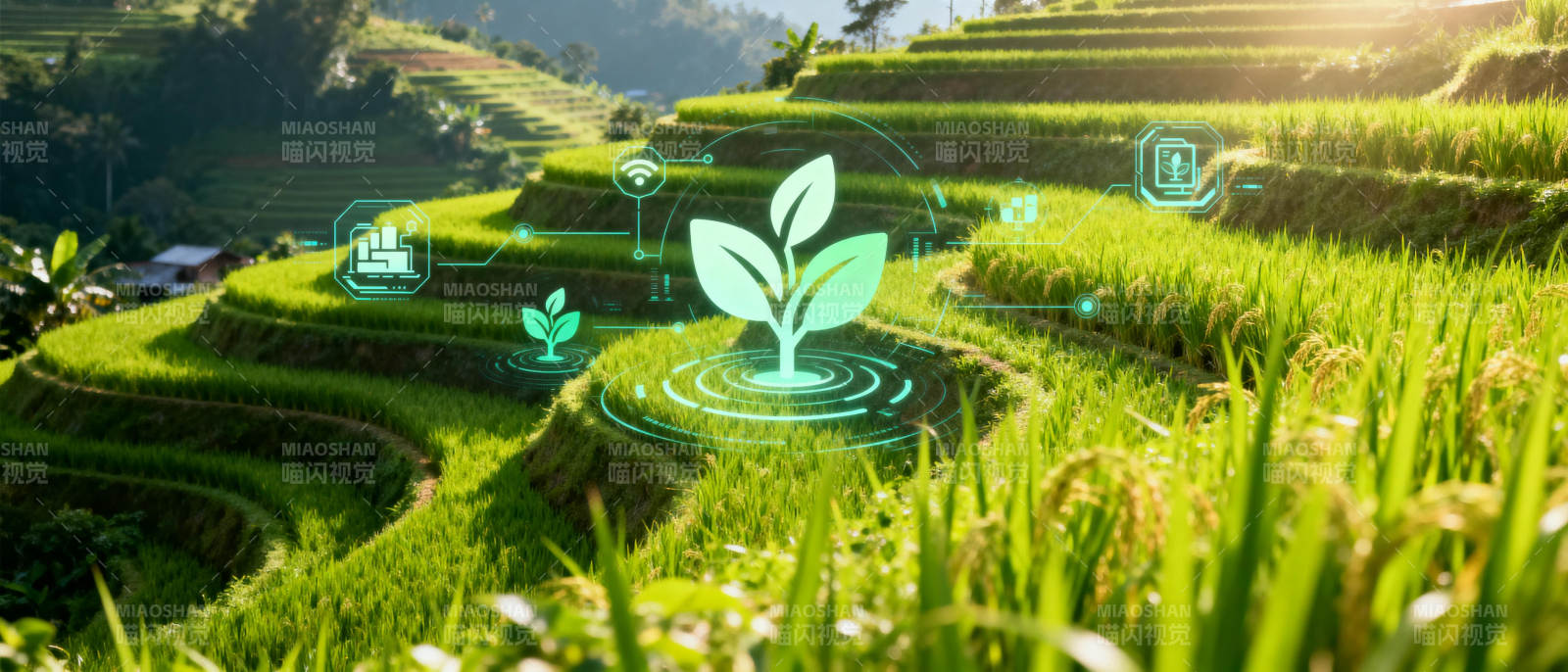 智慧农业新生态图片