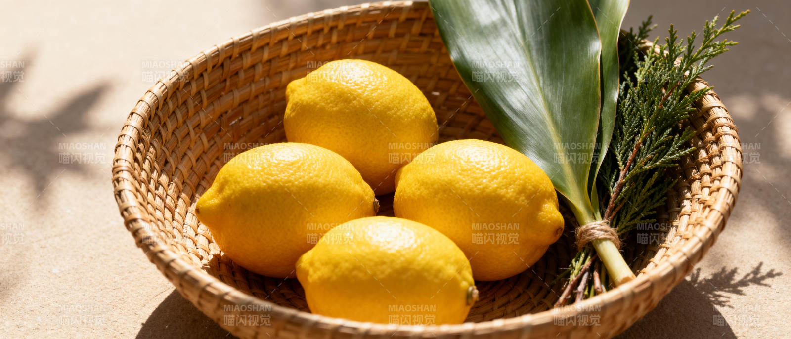 柠檬与绿叶静物图片