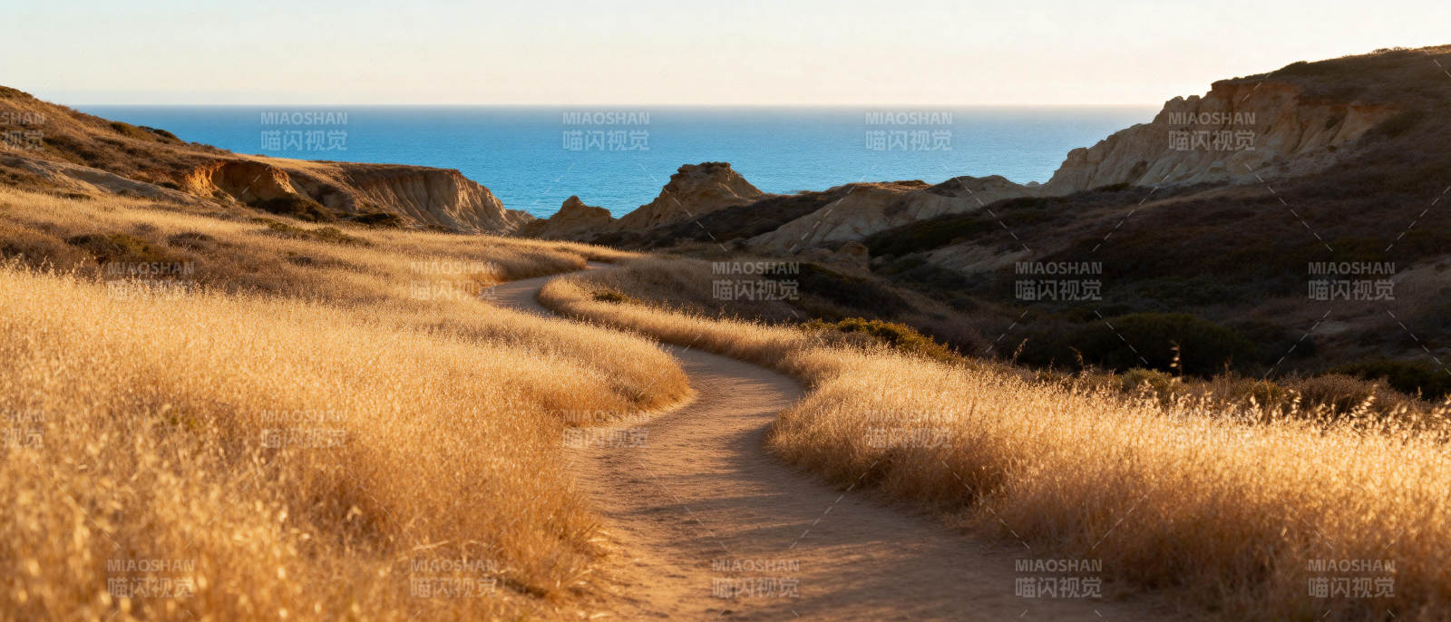 沙漠小径通向大海图片