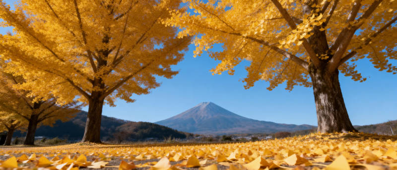 秋叶映富士图片