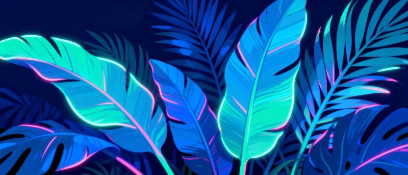 霓虹热带叶图片