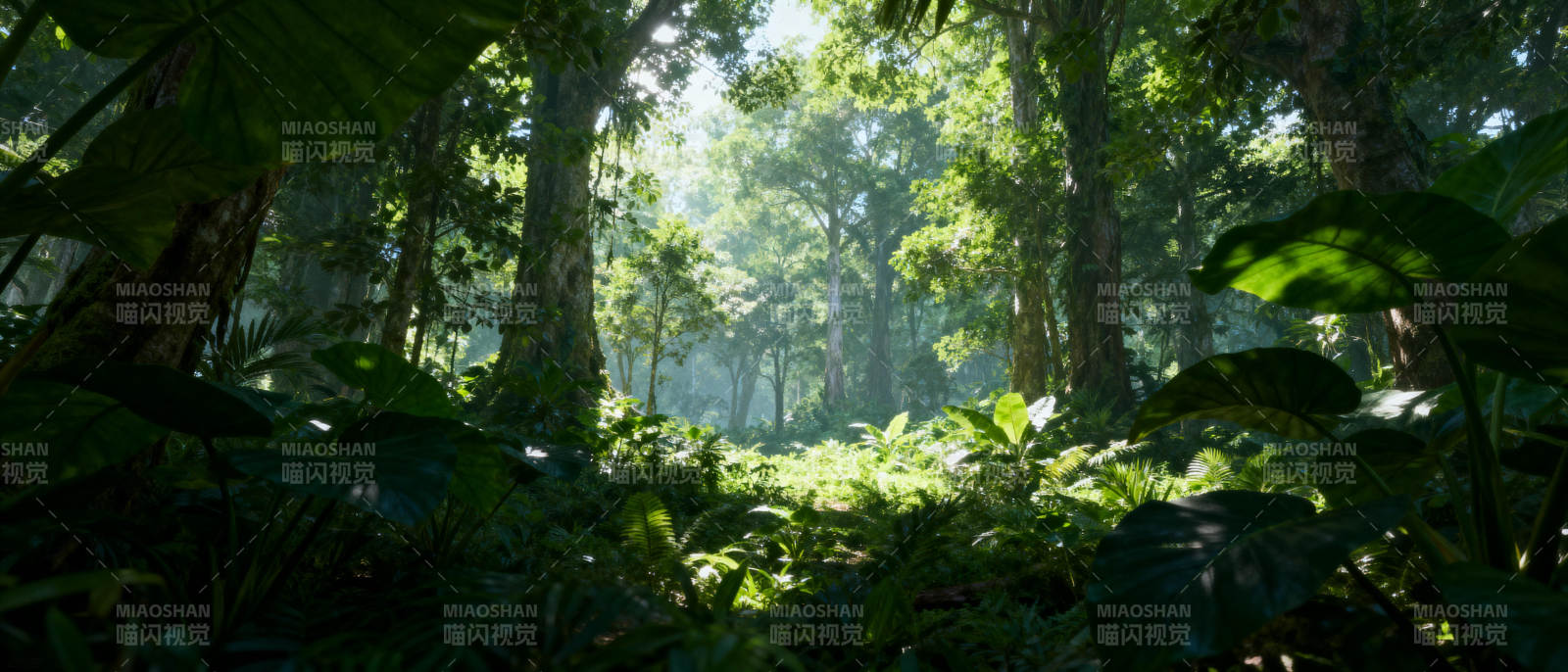 阳光穿透丛林图片