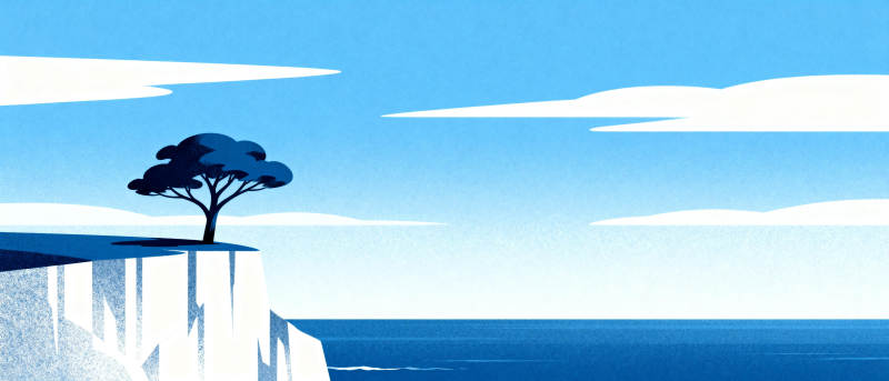 孤树悬崖海景图片