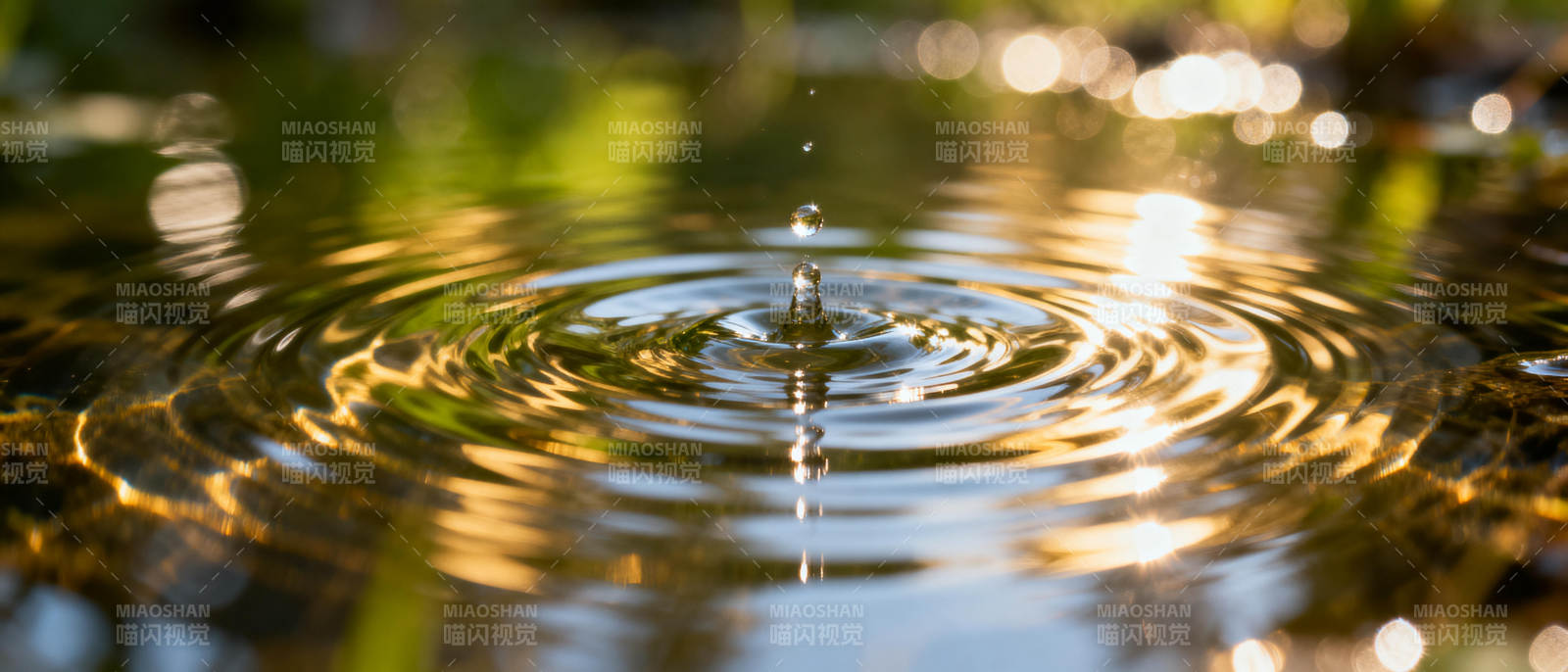 水滴涟漪图片