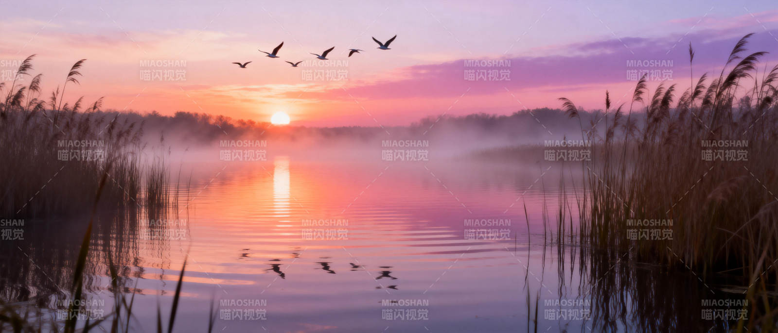 晨曦湖畔飞鸟图片