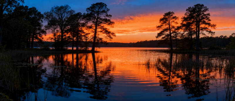 湖畔夕阳映树影图片