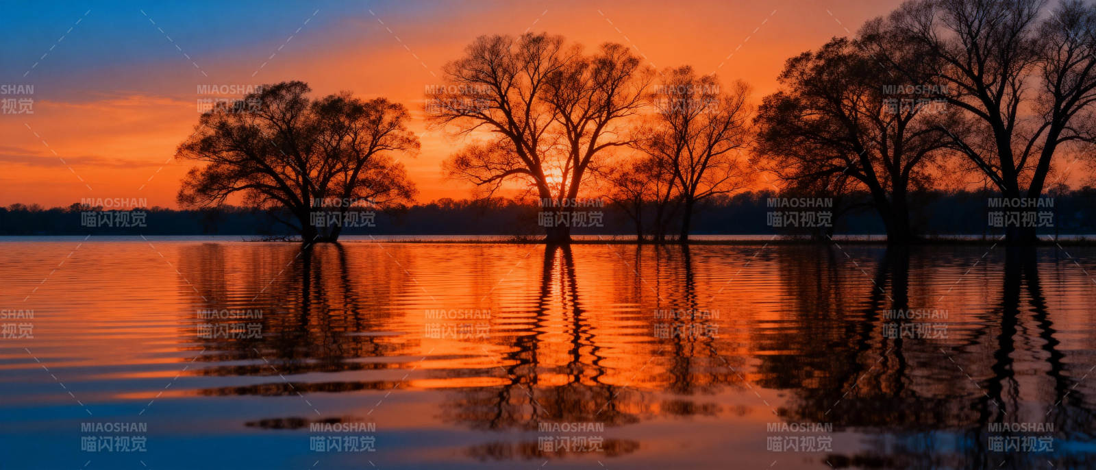 湖畔夕照树影图片