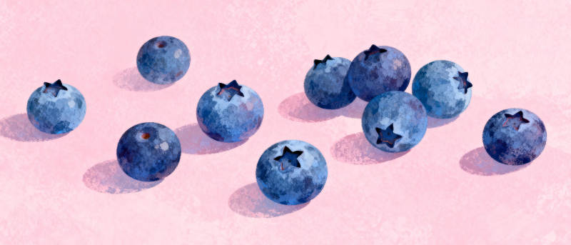 蓝莓静物画图片