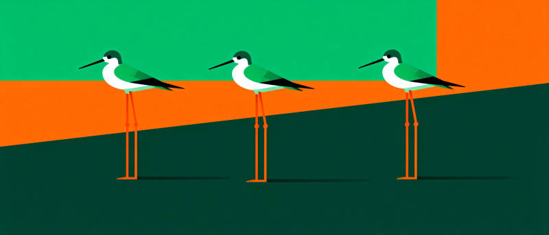 三鸟立于彩地图片