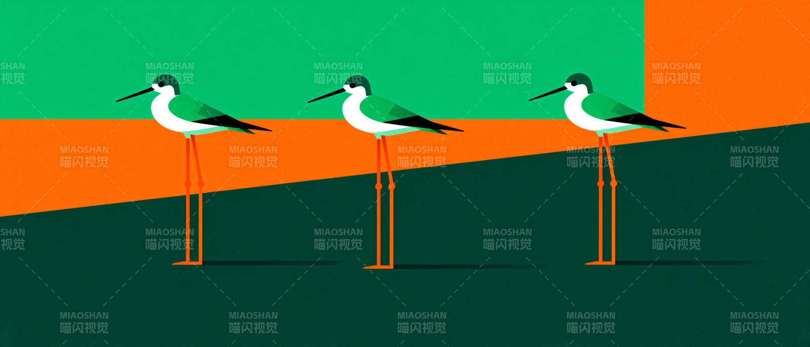 三鸟立于彩地图片