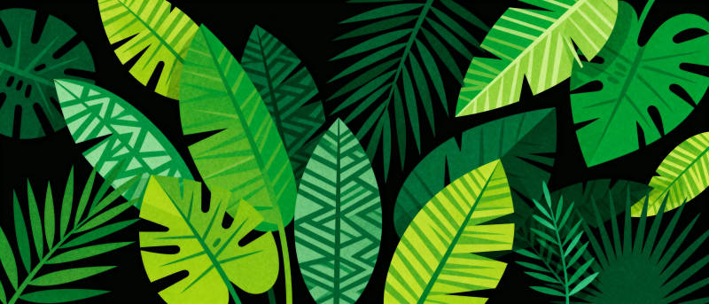热带绿叶图案图片