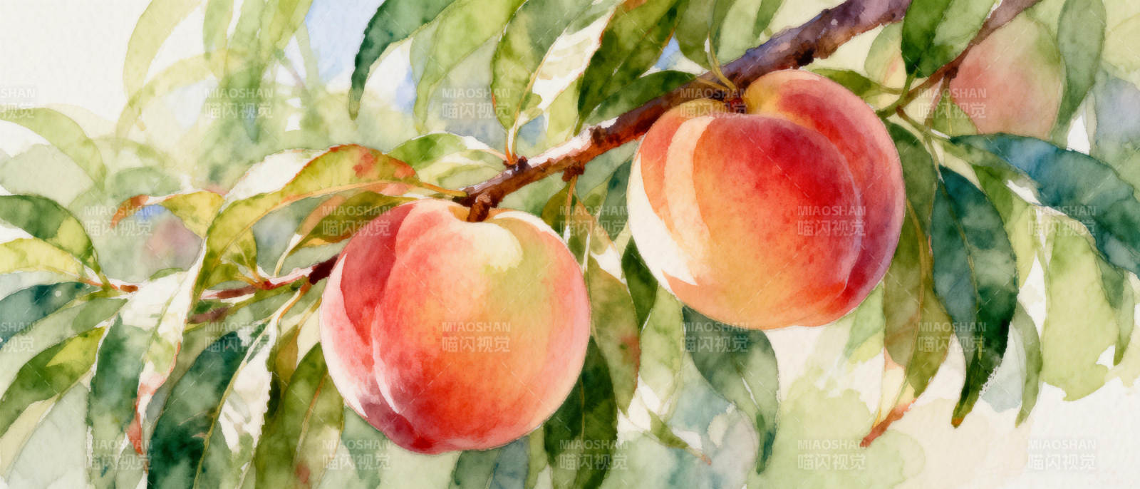 水彩桃子枝头图图片