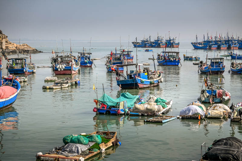 泉州渔港晨景图片