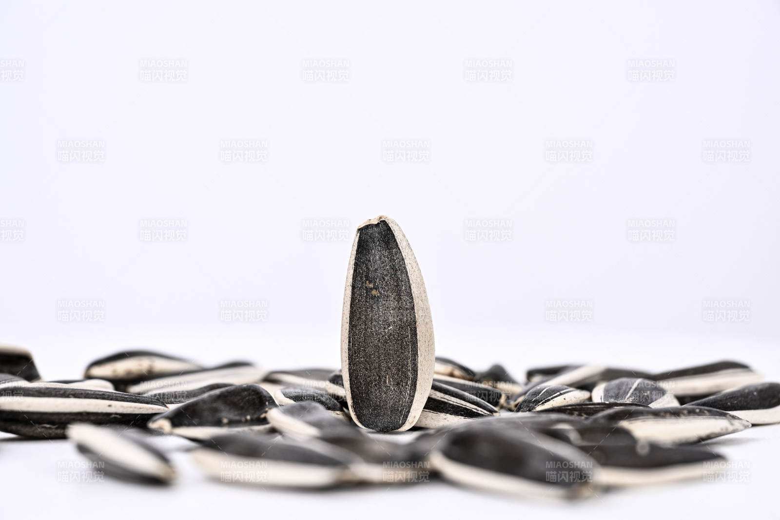 饱满原味葵花籽特写图片