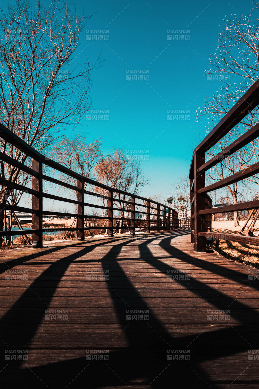 木桥影长 晴空万里图片