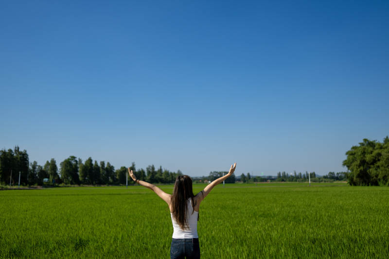 拥抱自然 自由飞翔图片