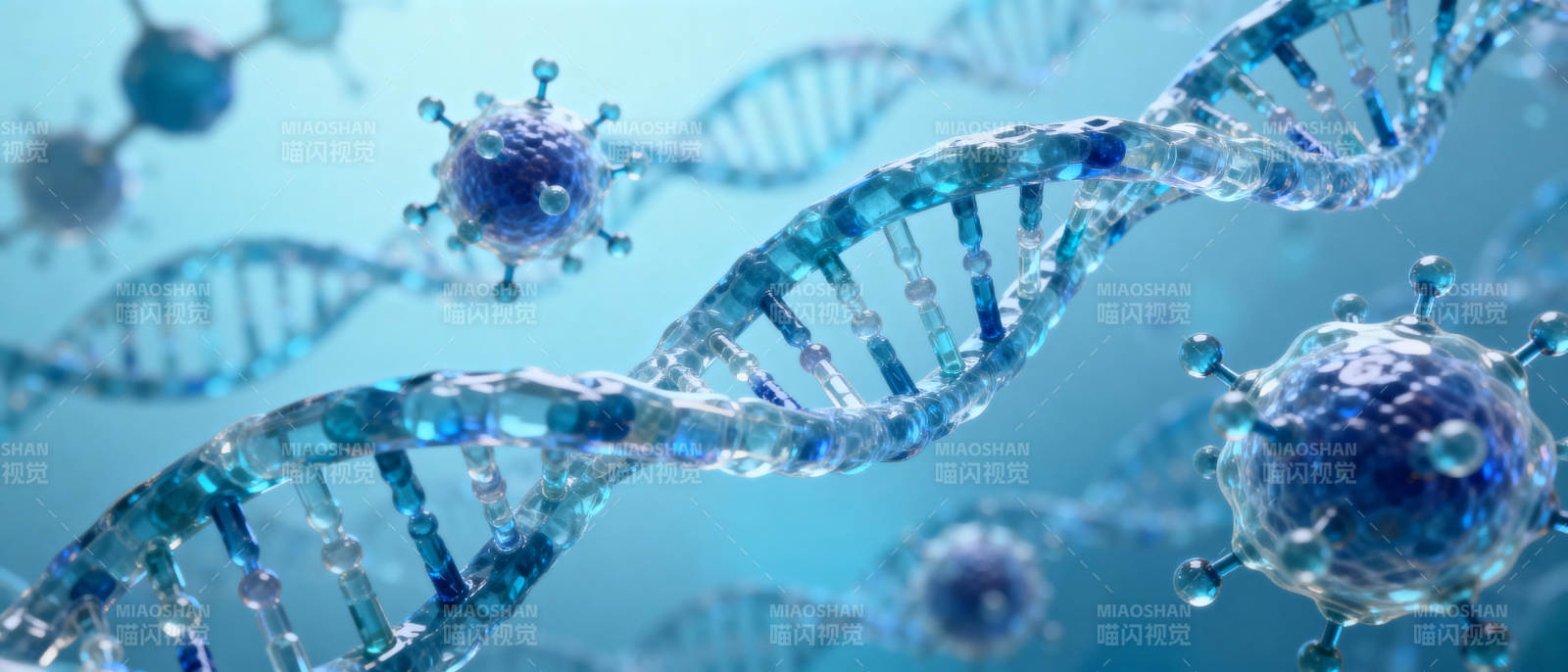 DNA与病毒共舞图片